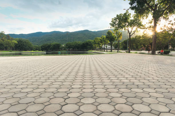 Best Custom Driveway Pavers  in Point Venture, TX