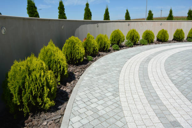 Best Commercial Driveway Pavers  in Point Venture, TX