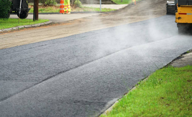 Best Professional Driveway Pavers  in Point Venture, TX